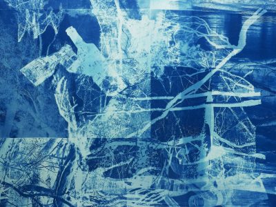 Annhoff PL 1 2024 57x74cm Cyanotypie web