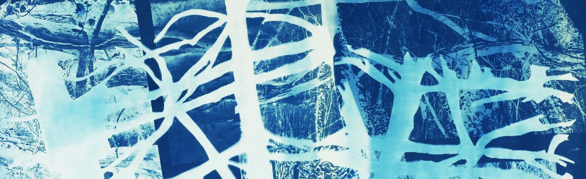 Annhoff Paradise Lost PL 2 2024 54x74 Header web